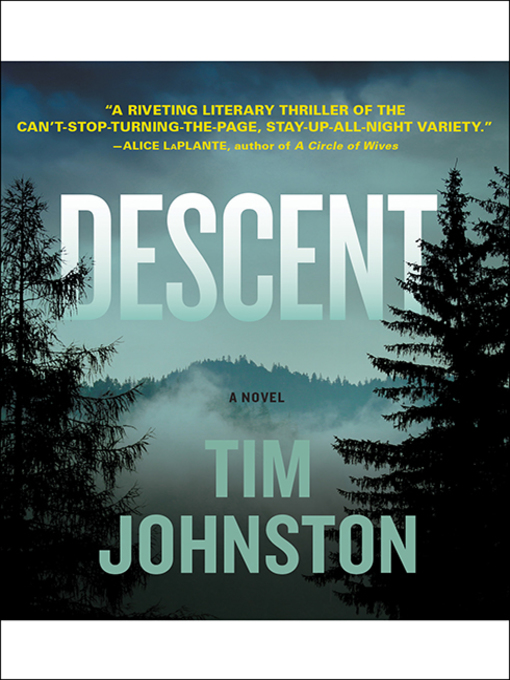 Title details for Descent by Tim Johnston - Available